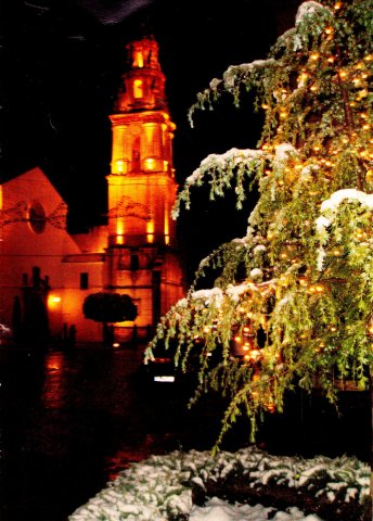 Torre e Iglesia S. FRANCISCO (2)